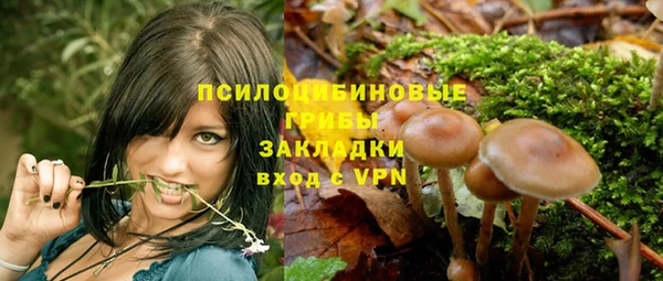 дурь Магас