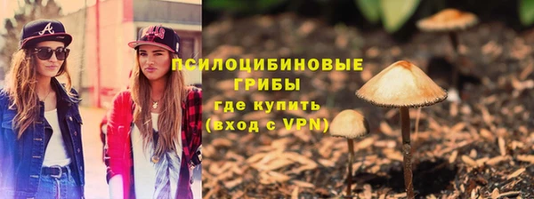 дурь Магас