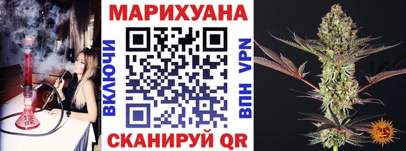 купить   Ногинск  Конопля ГИДРОПОН 